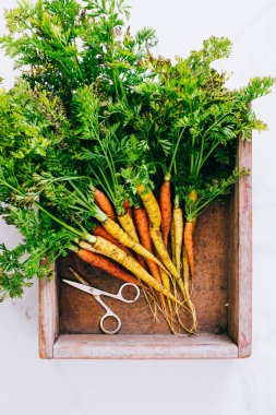 Mermer zemin, düz ahşap kutu içinde taze kirli sebze havuç yatıyordu, kökleri üstten görünüm