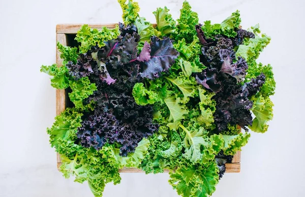 Fresh green and purple kale in a wooden box on a marble background