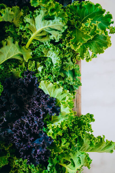 Fresh green and purple kale in a wooden box on a marble background