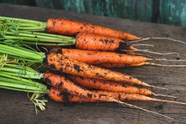 Genç Bahçe havuç yaprakları ile ve zemin ahşap arka plan üzerinde. Sonbaharda hasat.