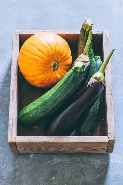 Autumn Harvest Wooden Box Pumpkin Green Zucchini Eggplant Gray Background — Stock Photo, Image