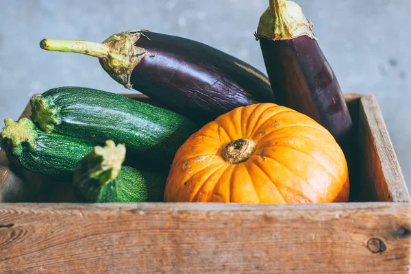 Autumn Harvest Wooden Box Pumpkin Green Zucchini Eggplant Gray Background — Stock Photo, Image