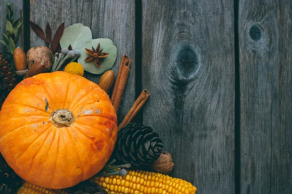 Sonbahar arka plan, kabak, meşe palamutları, yaprakları, Mısır, tarçın, anason ahşap kurullarında. Üstten görünüm, kopya alanı.