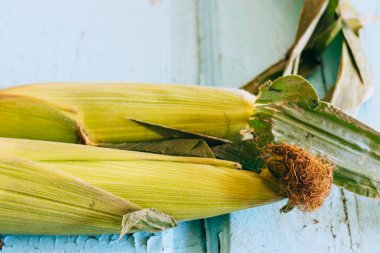 Mavi ahşap arka planda genç mısır koçanları