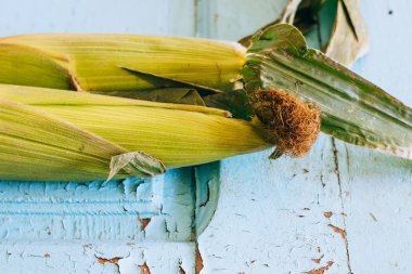 Mavi ahşap arka planda genç mısır koçanları