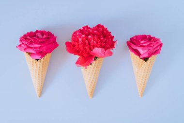 Pembe şakayık ve mavi arka plan üzerinde gül ile Dondurma Konileri, düz yatıyordu, minimalizm