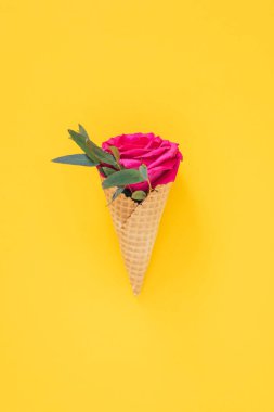 Düz sarı arka plan üzerinde pembe gül ile Dondurma Konisi yatıyordu, kopya alanı