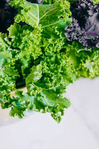 Fresh green and purple kale on a marble background, copy space — Stock Image Fresh green and purple kale on a marble background, copy space Stock Picture