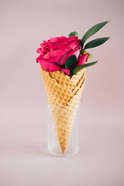 Pembe dondurma pembe arka plan, kopya alanı gül
