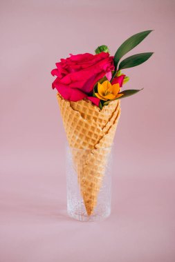 Pembe dondurma pembe arka plan, kopya alanı gül