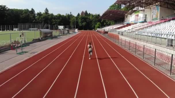Výhled Vzdušný Uhd Pohled Mladou Atletickou Dívku Která Dělá Sportovní — Stock video