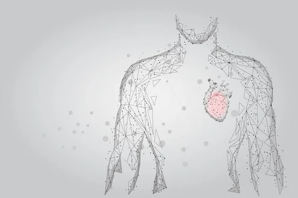 Medicina Baja Silueta Hombre Poli Con Corazón Que Consiste Puntos — Vector de stock