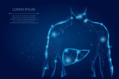 Soyut bir çizgi ve insan vücudunu karaciğerle işaret ediyor. Sağlık, Bilim ve Teknoloji Vektör İllüstrasyonu