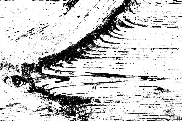 Holz Overlay Hintergrund — Stockvektor