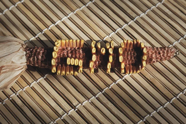 Concepto de comida GMO Corn COB —  Fotos de Stock