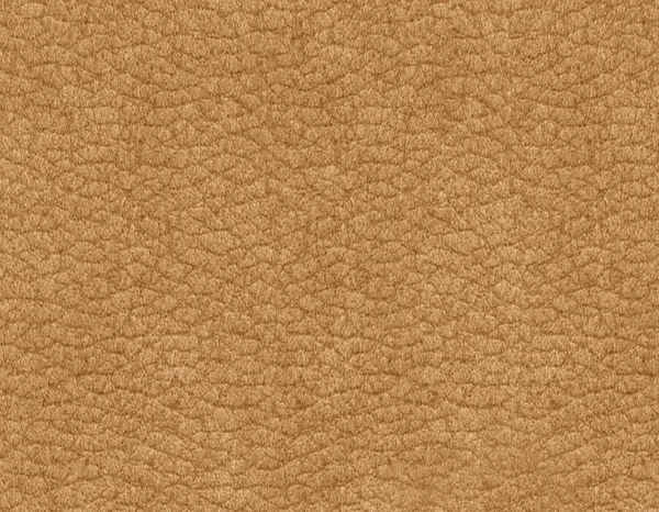 Animal Leather Texture Abstract Background Copy Space Close — Stock Photo, Image