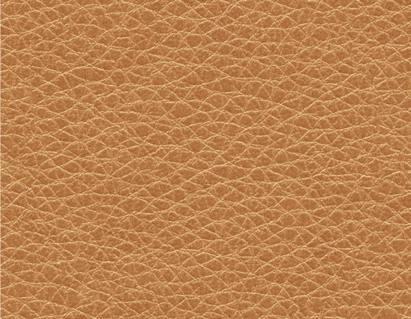 Leather Skin Texture Abstract Background Empty Copy Space Abstract Close — Stock Photo, Image