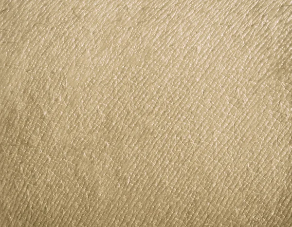 Human Skin Texture Background Pattern — Stock Photo, Image