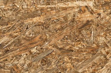 Doku sıkıştırılmış ahşap talaşlar. Soyut arka plan