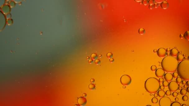 Abstract Water Bubbles — Stock Video