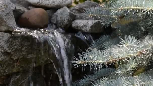 Decorative Waterfall Flows Cliff — Stock Video