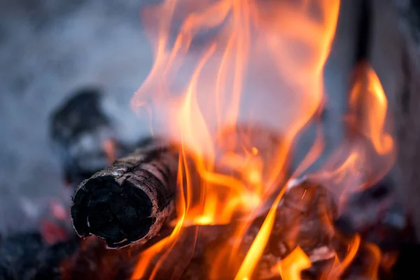 Fire Bonfire Burns Charcoal Burns — Stock Photo, Image