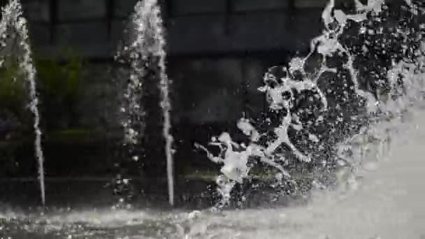 Fontaine Gros Plan Chute Eau — Video