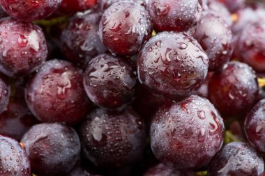 üzüm yakın çekim. Asma.