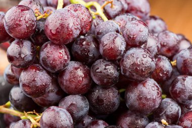 üzüm yakın çekim. Asma.