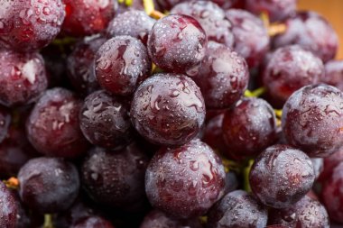 üzüm yakın çekim. Asma.