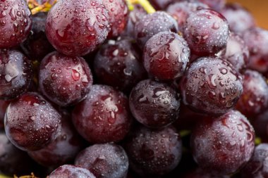 üzüm yakın çekim. Asma.