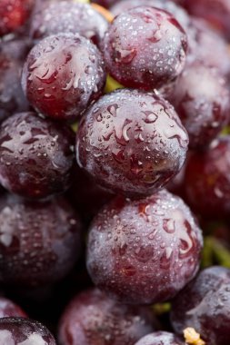 üzüm yakın çekim. Asma.