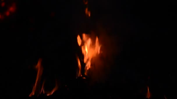 Texture Feu Feu Avec Une Grande Flamme Feu Joie Gros — Video