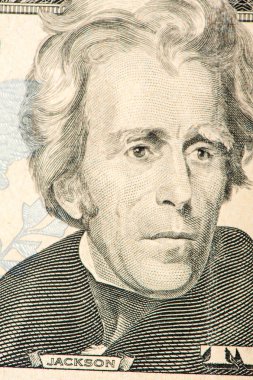 jackson portresi. Yirmi dolar bill. Amerikan Başkanı portre