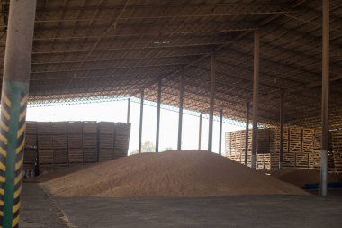 buğday tahıl depolama. Buğday taneleri yığını. buğday hasat