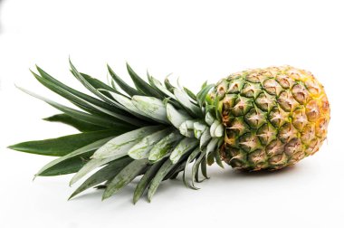 sweet pineapple close up