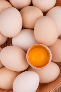 tavuk yumurta portre. yumurta