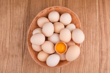 tavuk yumurta portre. yumurta