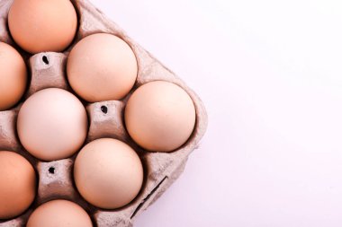 tavuk yumurta portre. yumurta