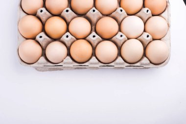 tavuk yumurta portre. yumurta