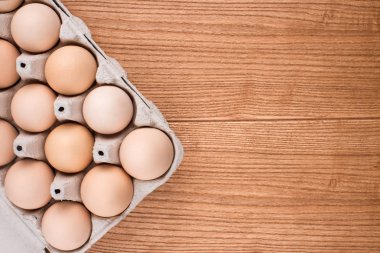 tavuk yumurta portre. yumurta