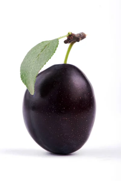 Plum Close Sweet Plum — Stock Photo, Image