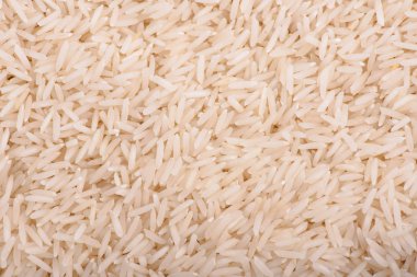 tatlı pirinç. pirinç tohumu. pirinç hasat