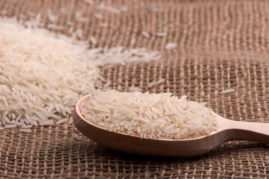 tatlı pirinç. pirinç tohumu. pirinç hasat