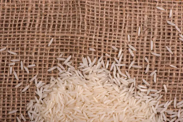 Rice Closeup Rice Seeds Rice Harvest — Stock Photo, Image