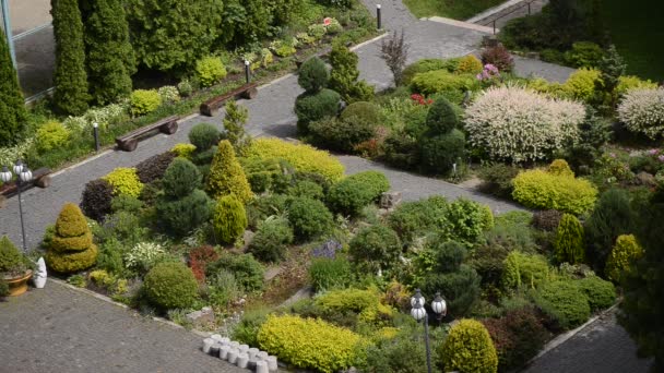 Primer Plano Del Diseño Del Paisaje Hermosa Naturaleza — Vídeos de Stock