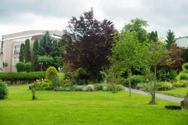 peyzaj tasarımı. güzel doğa
