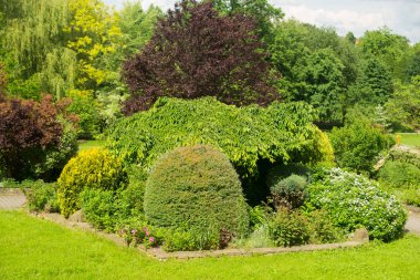 peyzaj tasarımı. güzel doğa