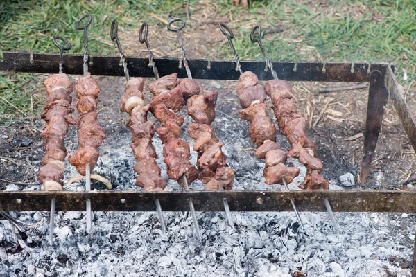 Shish Kebab Închide Grătar Gătit — Fotografie, imagine de stoc
