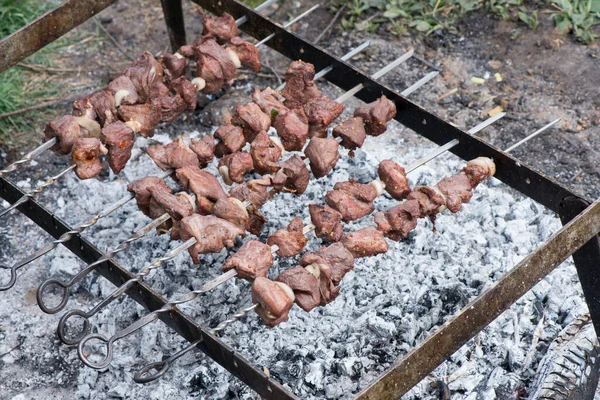 Shish Kebab Gros Plan Cuisson Barbecue — Photo